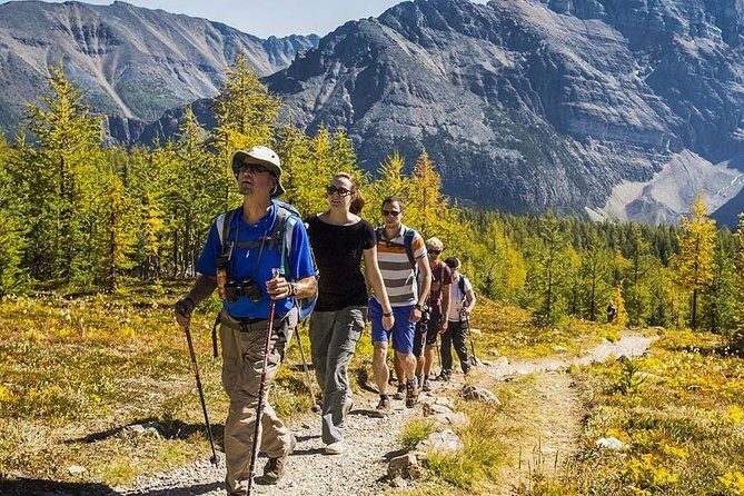 Banff National Park Guided Hike with Lunch - Authentic Experiences and What Travelers Say