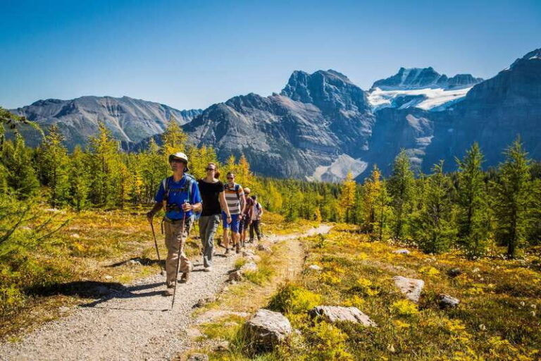 Banff National Park: Guided Signature Hikes with Lunch - The Sum Up