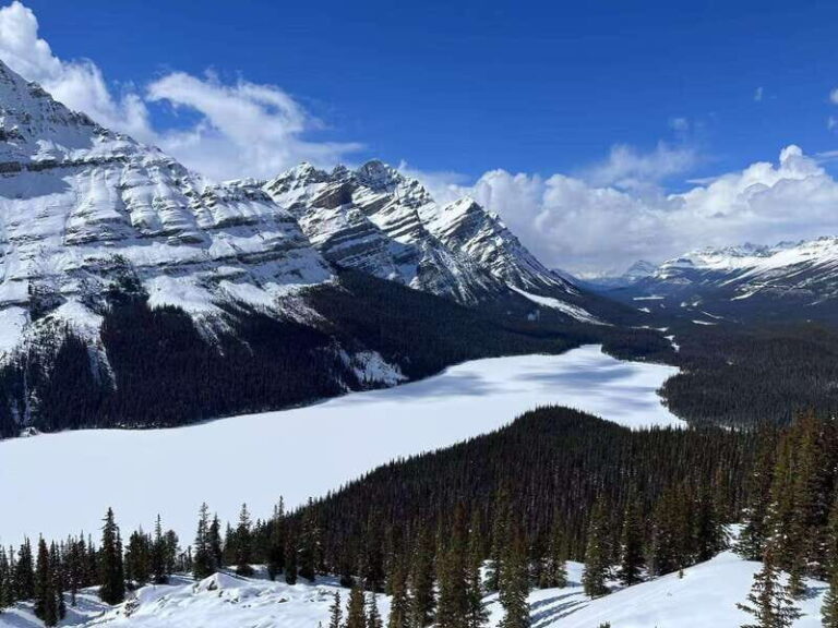 Banff National Park: Lake Louise & Upper Hot Springs Tour - Analyzing the Value and Experience