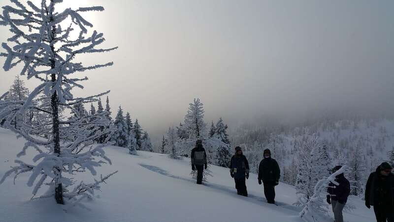 Banff National Park: Sunshine Meadows Snowshoeing Experience - The Itinerary — What to Expect