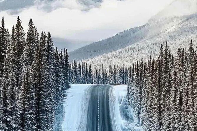 Banff National Park to Calgary Private Transportation - The Experience in Action