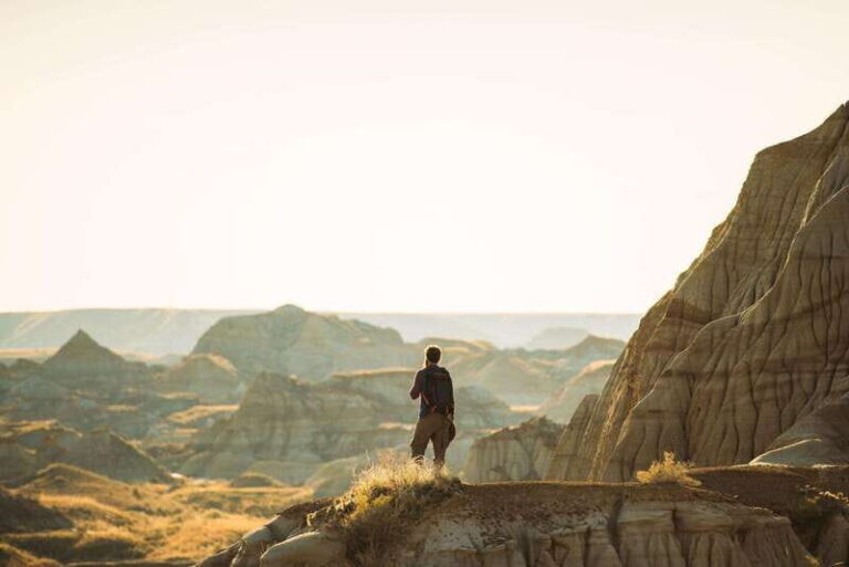 Banff: Private Badlands Tour with Royal Tyrrell Museum - Analyzing the Value