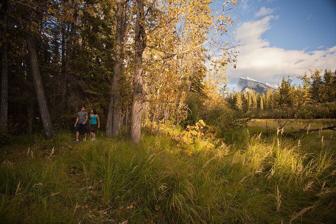 Banff: Private Guided Nature Walk - 2H - Why This Tour Works Well for Travelers