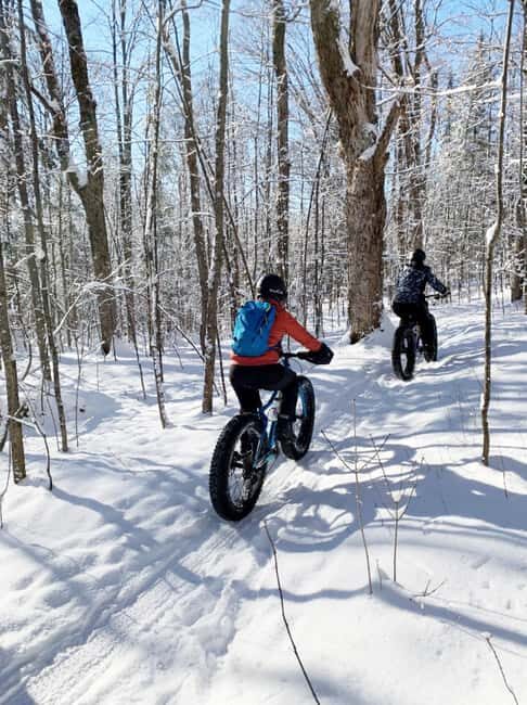 Banff Top Sights E-Fat Bike Tour All Skill Levels - The Sum Up: Who Will Love This Tour?
