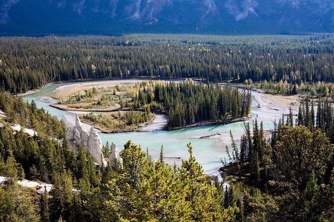 Banff Tour with Gondola & Lake Cruise - roundtrip from Banff - Viewing Banff’s Iconic Waterfalls and Mountains