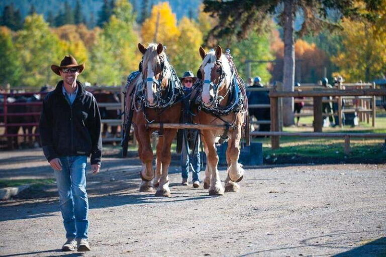 Banff: Wagon Ride with Cowboy Cookout BBQ - Authentic Reviews and Insights