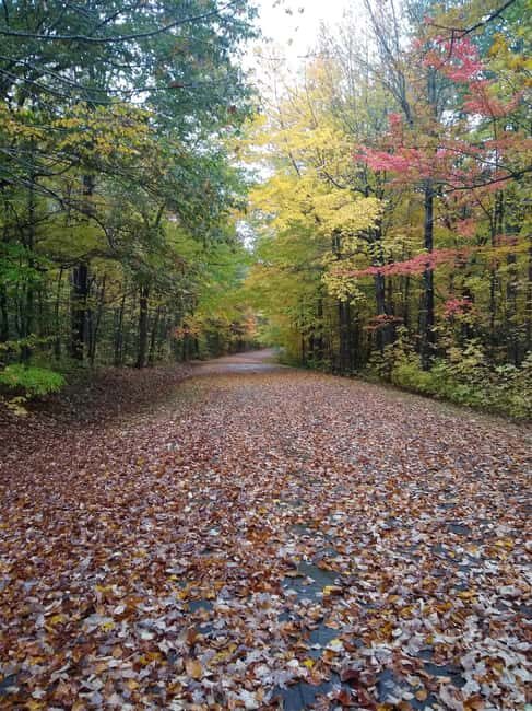 Bar Harbor: Acadia National Park Autumn Leaf Private Tour - In Summary