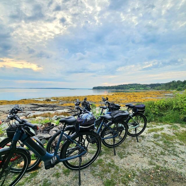 Bar Harbor: Acadia National Park Carriage Roads Ebike Tour - Analyzing Value for Money