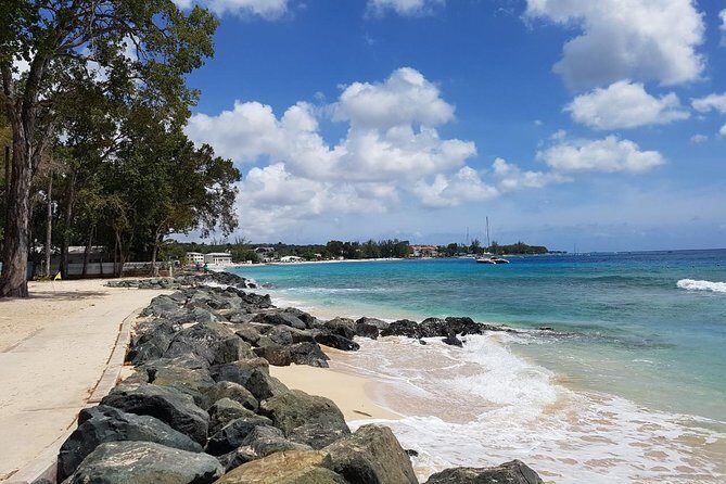 Barbados Half Day Coastal Sightseeing Private Tour - The Real Value of a Private Tour