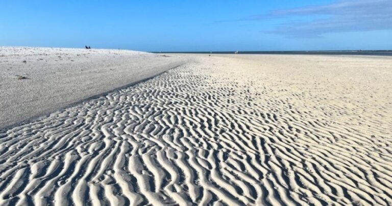 Barrier Island Shelling Tour - What You Can Expect From This Shelling Adventure