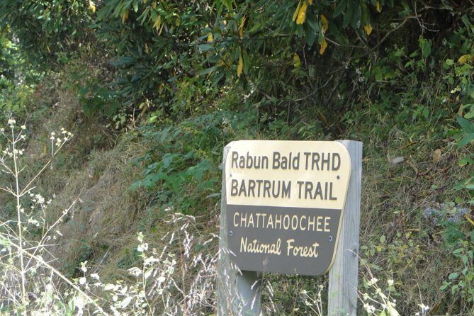 Bartram Trail Hike plus Wine Tasting - Authenticity and Popularity