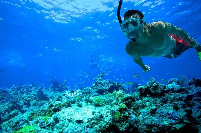 Basic Snorkel Experience In Cancun - The Sum Up
