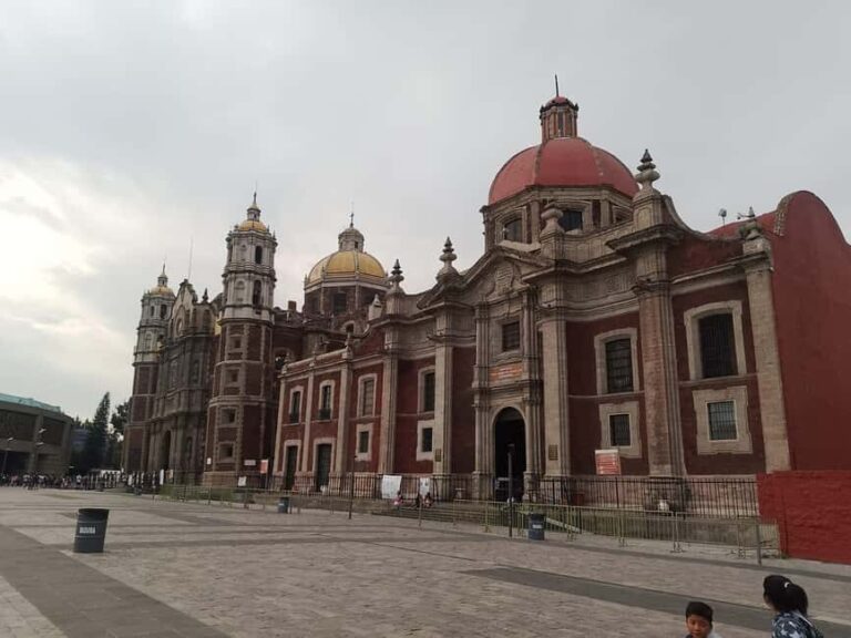 Basilica of Guadalupe: Private Walking Tour - The Value of This Tour