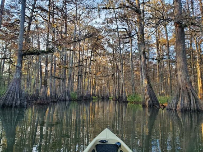 Baton Rouge: Kayak Tour Through the Historic Atchafalaya - Practical Details for Travelers