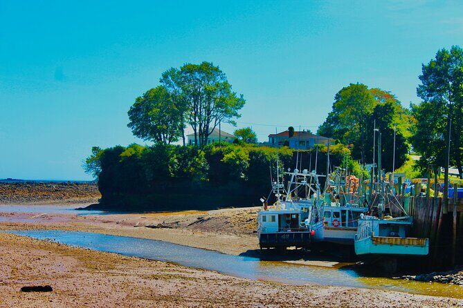 Bay Of Fundy Guided Tour - Authenticity and Value