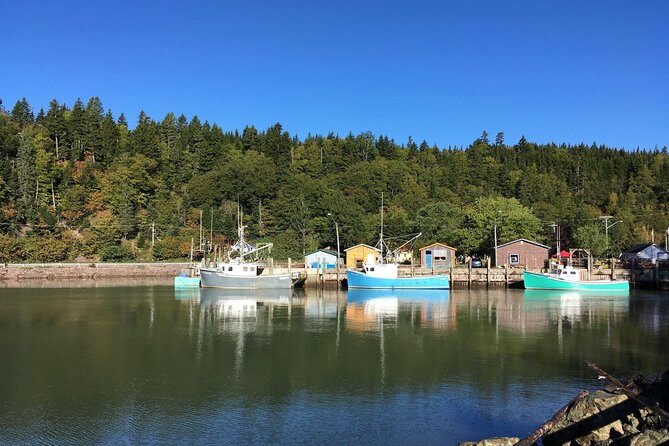 Bay of Fundy Tour by Bus - Who Is This Tour Best For?