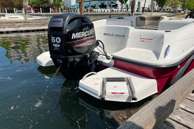 Bayliner Element 60HP Boat - What to Expect on Your Kelowna Bay Experience