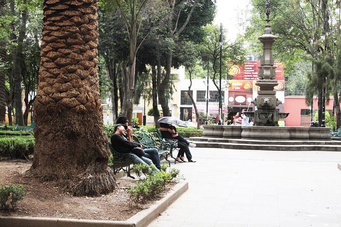 Bazaar Saturday - Convent of Carmen - San Angel - FAQs