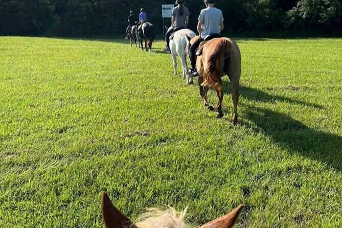 B&C horseback riding in nature and Keeneland racetrack. - Value for Your Money