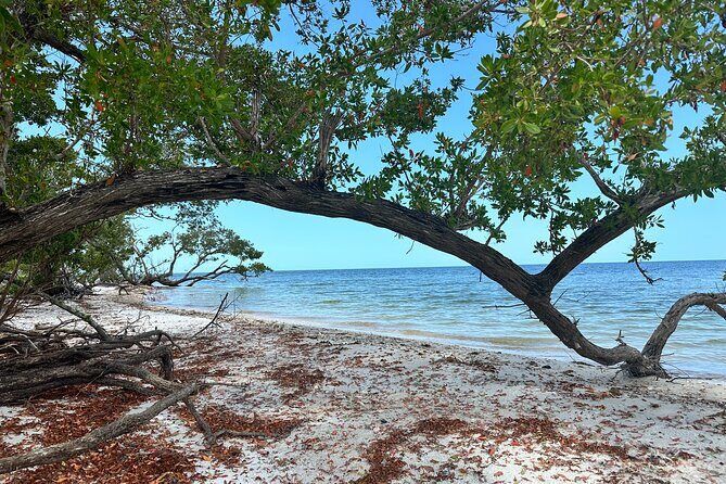 Beach and Shelling Excursion - Public - Who Should Consider This Tour?