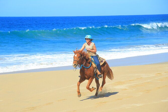 Beach ATV and Horseback Ride Combo Tour in Cabo - Who Will Love This Tour?
