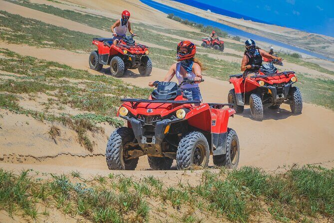 Beach ATV & Camel Ride COMBO in Cabo by Cactus Tours Park - The Not-So-Secret Downsides