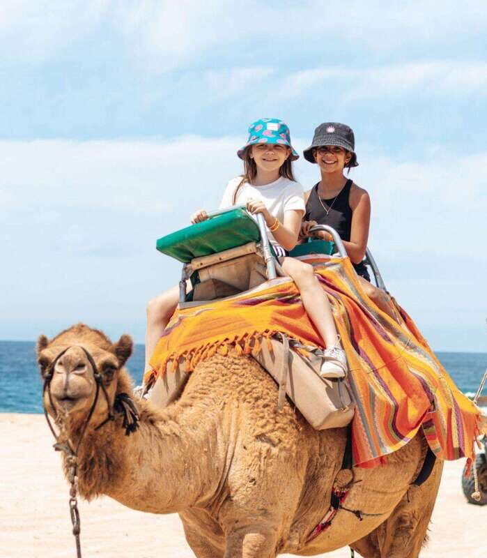 Beach Camel Ride & Encounter in Cabo by Cactus tours park - The Itinerary: A Well-Organized Day