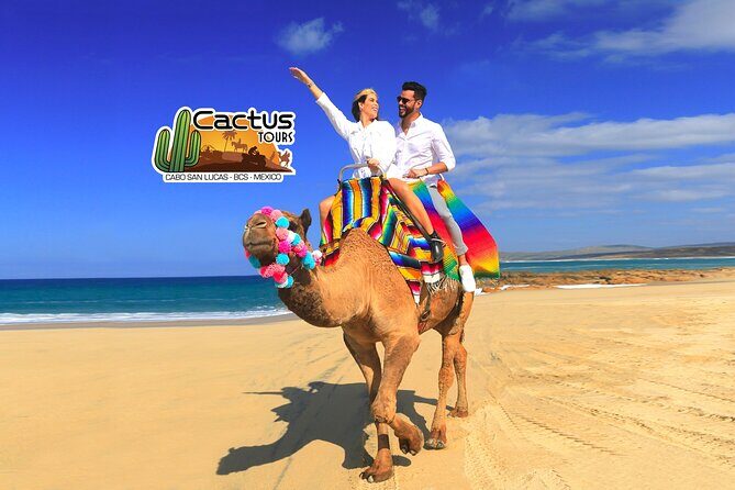 Beach Camel Ride & Encounter in Cabo - The Experience: Combining Wildlife, Scenery, and Culture