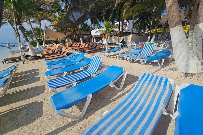 Beach club restaurant kraken - What the Reviews Tell Us