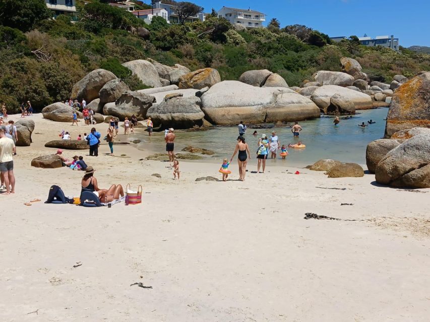 Beach Day at Boulder's Beach & Penguin watching, Half Day - Is This Tour Worth It?