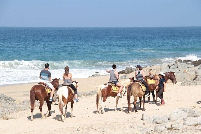 Beach & Desert Horseback Tour - The Desert Landscape: Raw and Untouched