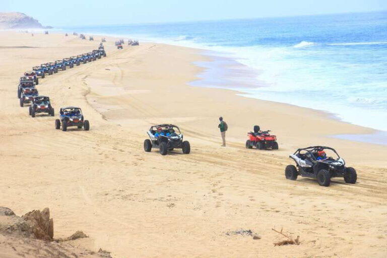 Beach & Desert Premium RC UTV Tour in Cabo price per person - What You Can Expect on This Adventure