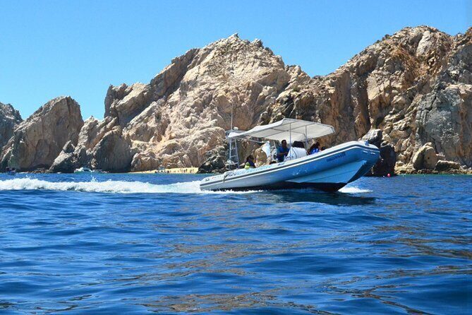 Beach Hopper, Amazing Snorkel Experience At Los Cabos! - The Marine Experience: What Makes the Snorkeling Special?