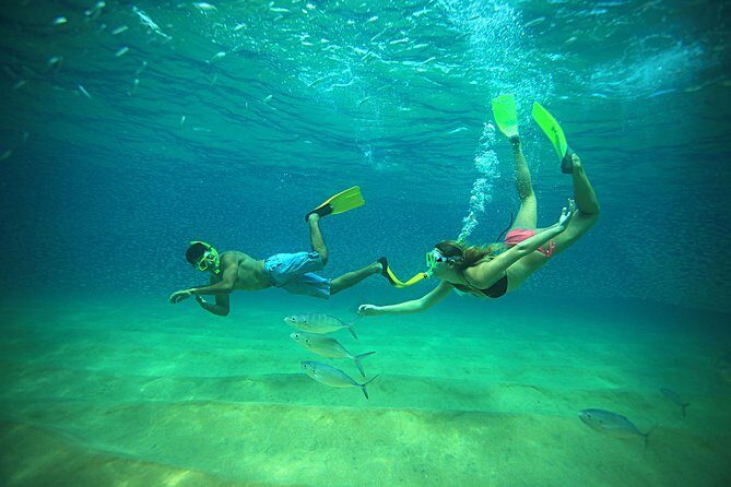 Beach Hopper Small-Group Snorkeling Tour in Los Cabos - The Practical Side