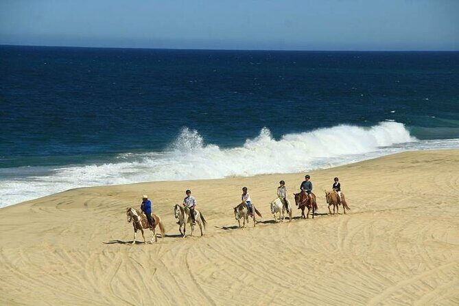 Beach Horseback Riding in Los Cabos - Detailed Breakdown of the Experience