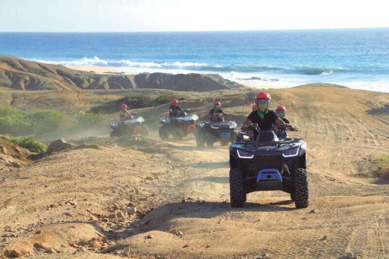 Beach UTV & Camel Ride COMBO in Cabo by Cactus Tours Park - What Makes This Tour Stand Out?