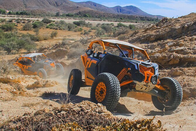 Beach UTV & Camel Ride COMBO in Cabo by Cactus Tours Park - Final Thoughts — Is It Worth It?