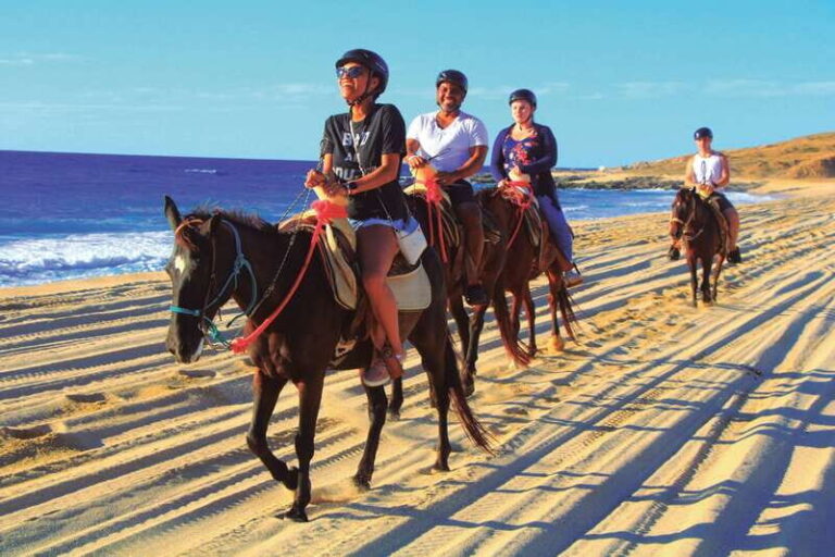 Beach UTV & Horseback Riding COMBO in Cabo by Cactus Tours - Is It Worth the Price?