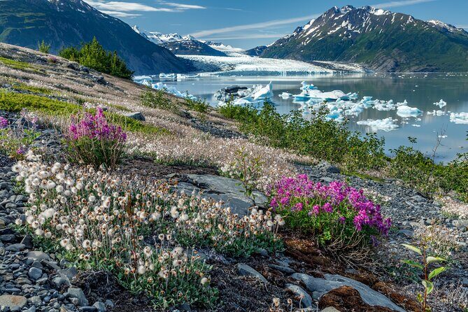 Bear Glacier Helicopter Tour with Landing - FAQ