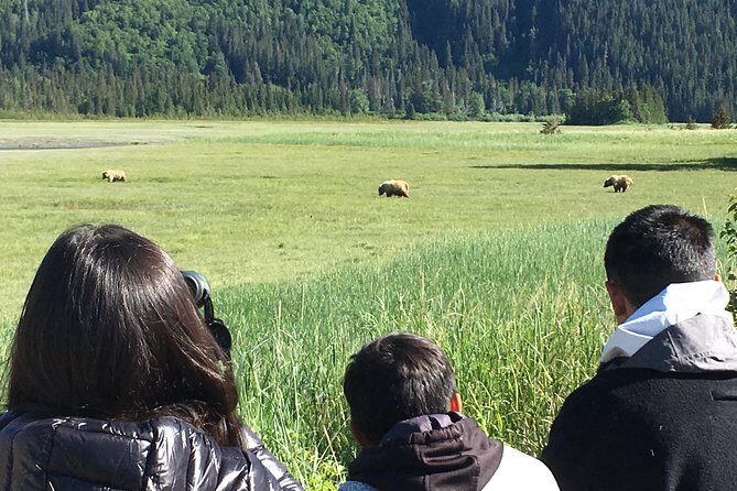 Bear Viewing Excursion and Airplane Adventure Tour - The Remote Landing and Bear Encounters