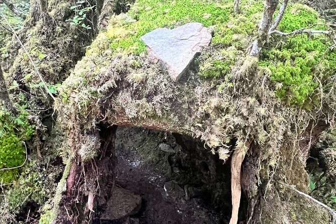 Beautiful Nature Walk On Ketchikan's Ward Creek Trail - Starting Out: Meeting in Ketchikan