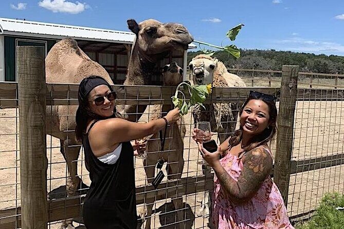 Become a Ranch Hand for a Day in Fredericksburg - Frequently Asked Questions