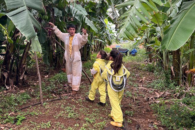Bee Farm Ecotour and Honey Tasting in Waialua, North Shore Oahu - The Price and Value