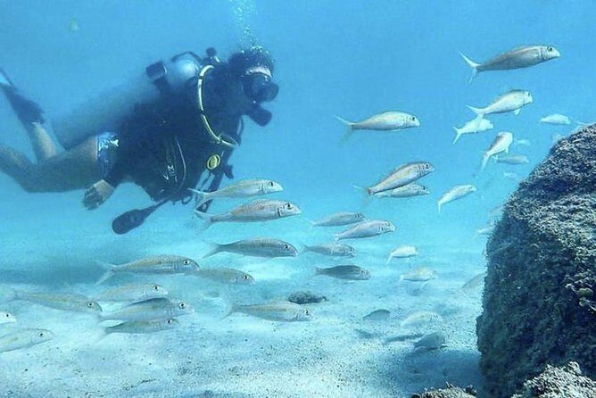 Beginner Scuba Diving Adventure with Videos in Honolulu - Logistics and Practical Details