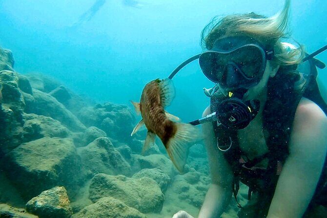 Beginner Scuba Diving Experience With Videos in West Palm Beach - The Value of the Cost