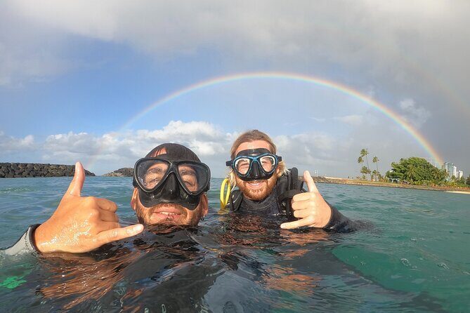 Beginner Scuba Experience with Video Package in Honolulu - The Experience’s Strengths