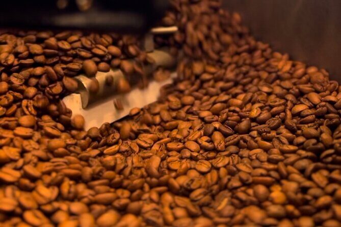Behind The Scenes Of The Coffee Roasting Process 101 - Who Would Love This Tour?