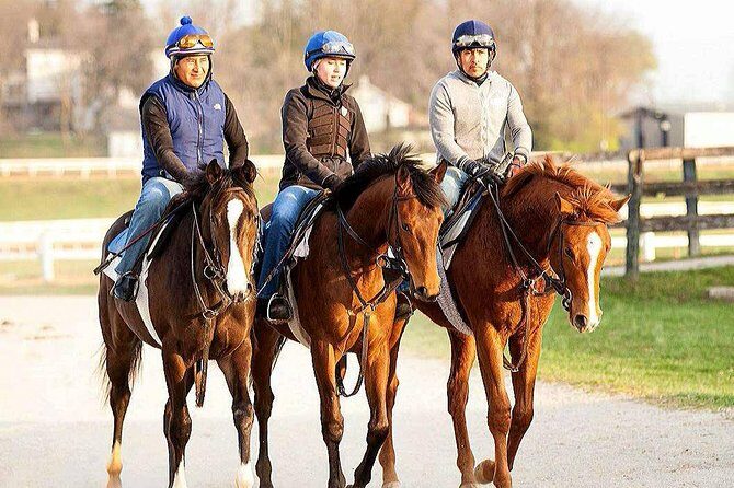 Behind the Scenes Thoroughbred Tour - Key Points