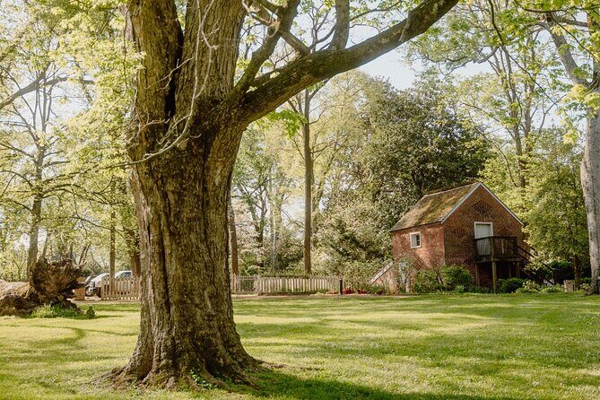 Belle Meade Guided Mansion Tour with Complimentary Wine Tasting - The Sum Up