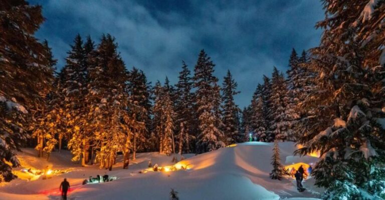 Bend: Cascade Mountains Snowshoeing Tour and Bonfire - Whats Included and Whats Not
